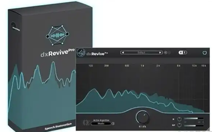 Setup dxRevive Pro-小七音频资源网